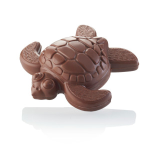 Tortue 150g