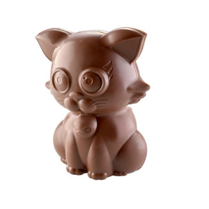Chat
