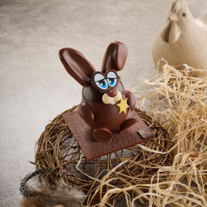 Lapin adjoint