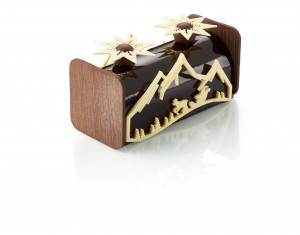 Bûche Galaxie