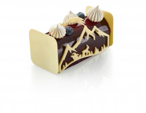 Bûche Constellation