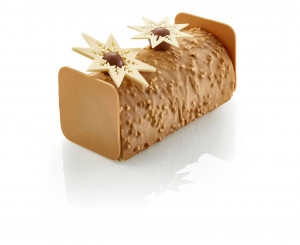 Bûche Rocher