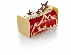 Bûche étoile des neiges