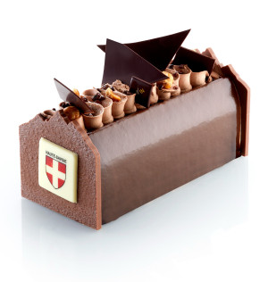 Bûche 74