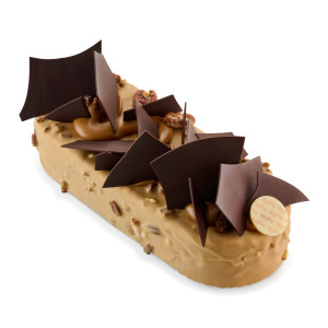 Barre Rocher